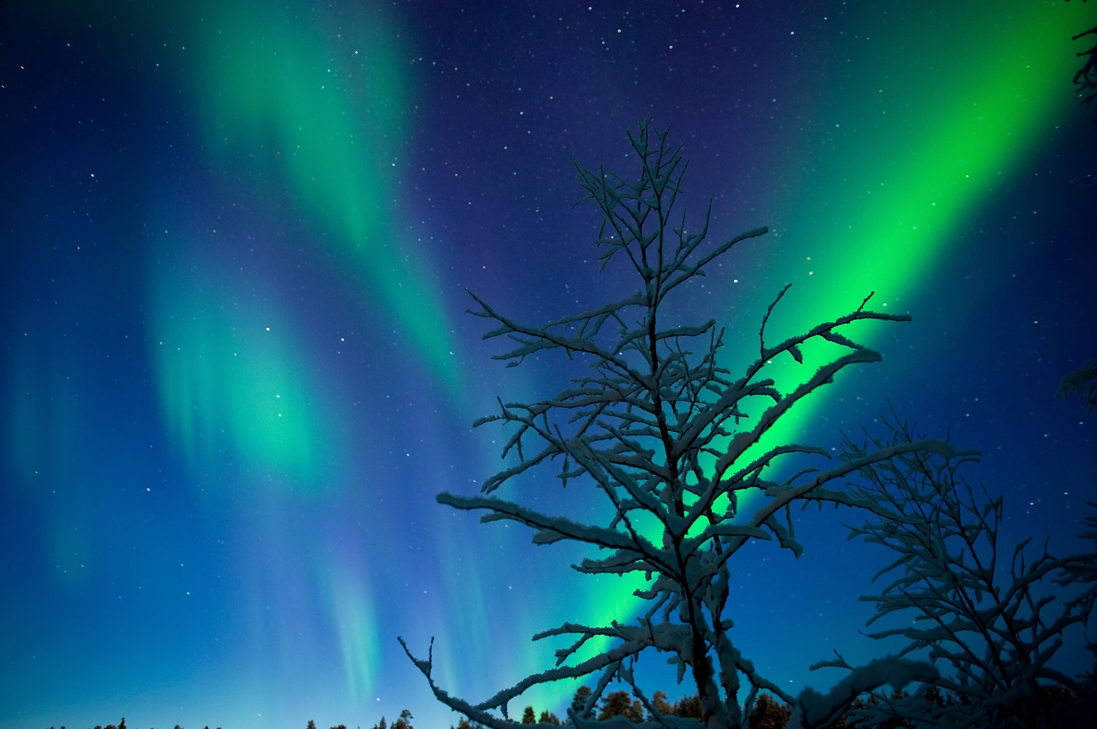 Aurora boreal en Laponia